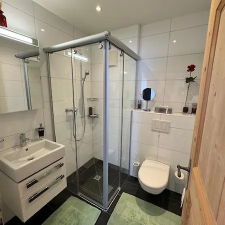 Modern Flat Davos With Lake Davos View Давос