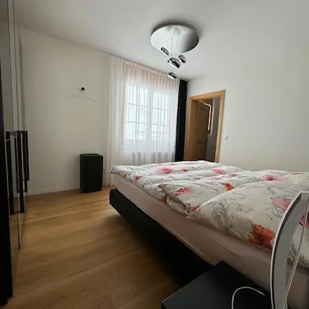 Modern Flat Davos With Lake Davos View Апартаменты